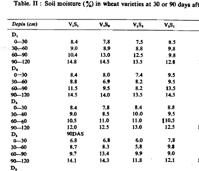 Table. II : Soil moisture (%) in wbeat varieties at 30 or 90 days arter sowing 