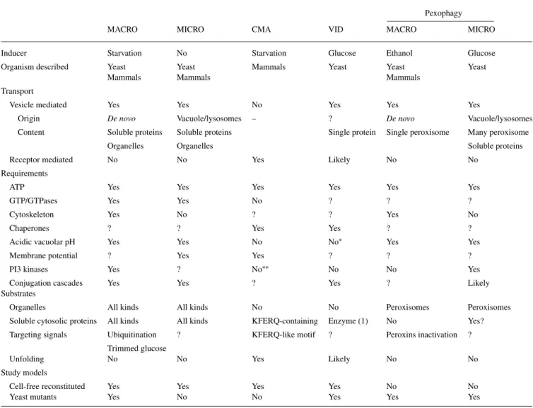 Table 1. Comparison of the different pathways for the degradation of intracellular proteins in lysosomes