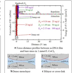 Figure 1 Scheme of measuring interaction between ss‑DNA layer and a bare mica with the SFA