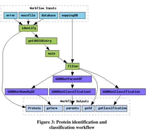 Figure 3: Protein identification and  classification workflow The connection can be established by the 