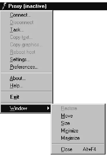 Figure 2-2: The standard Windows Control Menu