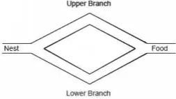 Figure 1:  Experimental apparatus for the bridge experiment 