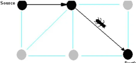 Figure 2 : Single bridge experiment. (a) Experimental setup. (b) Results for a typical single trial, showing the percentage of passages on each of the two branches per unit of time as a function of time