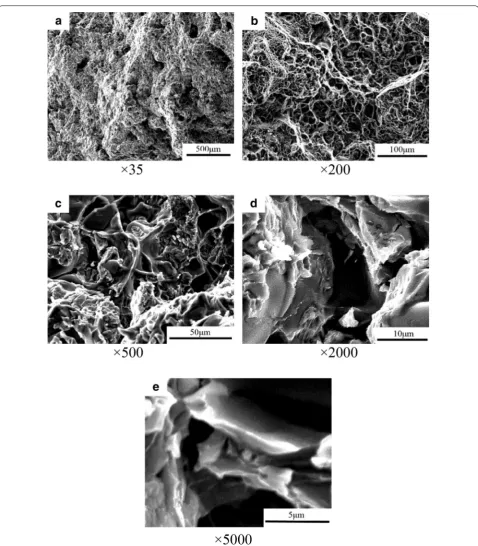 Figure 2 Fracture morphology of the as‑cast alloy under different multiples