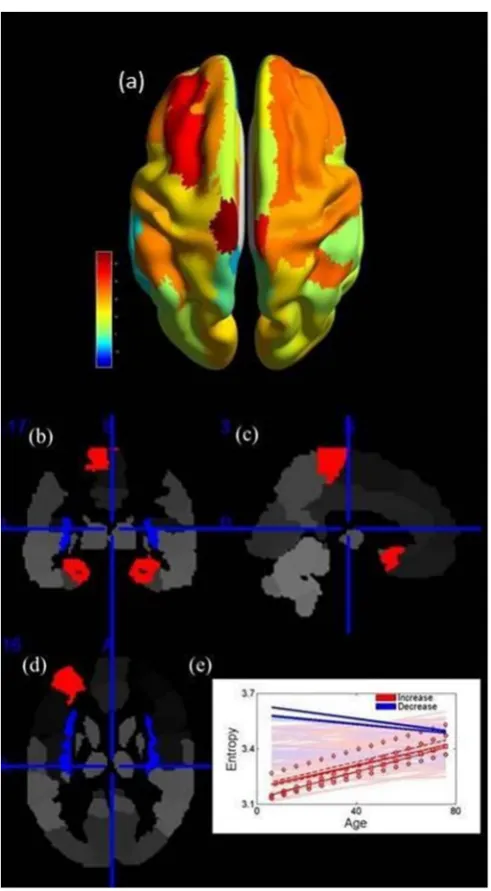 Figure 4 | Functional Entropy of Brain Regions. Panel a shows the trendexhibited by the functional entropy of each brain region with age