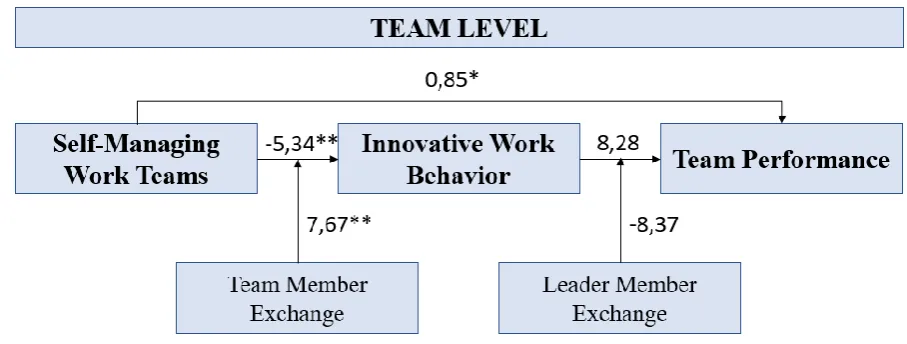 Figure 5: Causal model self-managing work teams influencing team performance on a team level 