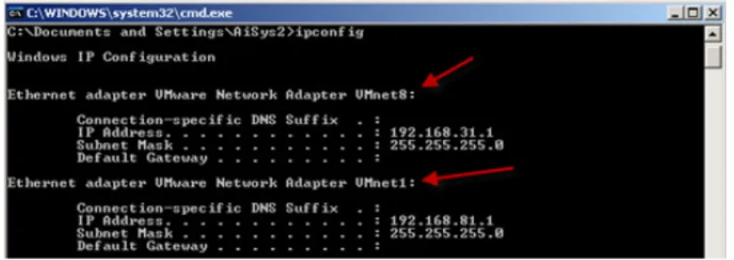 Figure 2: VMware Workstation (VMnet 8 and VMnet 1) Installed on Host OS 