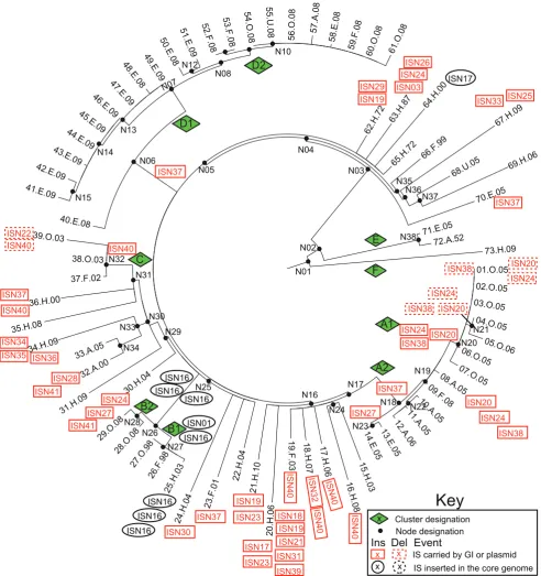 Figure 6. Insertions (solid lines) and deletions (dashed lines) of IS elements (Tables S7, S8, S9) in mobile elements (red boxes) or thecore genome (black ellipses) mapped on a SNP genealogy of 73 Agona genomes.branches include strain ID numbers, as in Fig