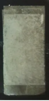 Figure 7. Screens coupled together with sample in between after press. 