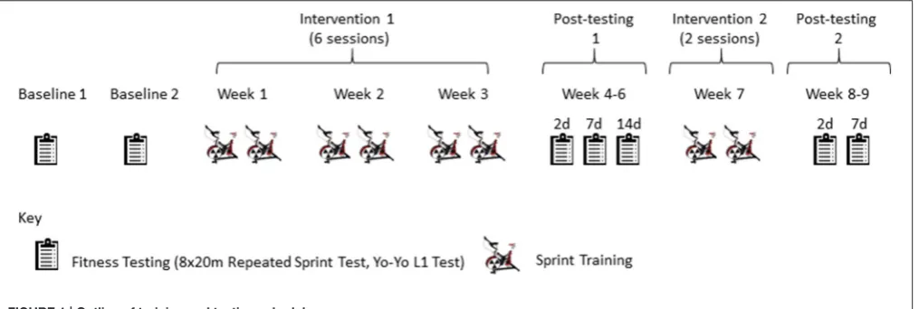 FIGURE 1 | Outline of training and testing schedule.