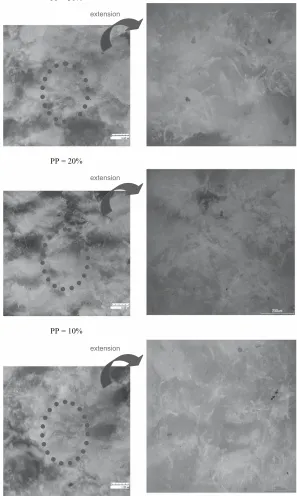 Fig. 13. Micrographs of fractured surfaces of compression-molding composites containing 30%, 20%, and 10% PP/MAPP