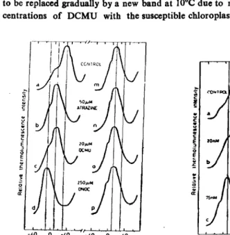 Fig. 1: Gradual disappearance of 