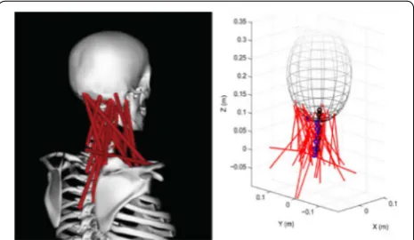 Figure 13 8‑link 24‑DOF neck model actuated by 76 cables