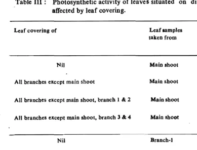 Table III:   Photosynthetic activity of leaves situated on different branches as affected by leaf covering