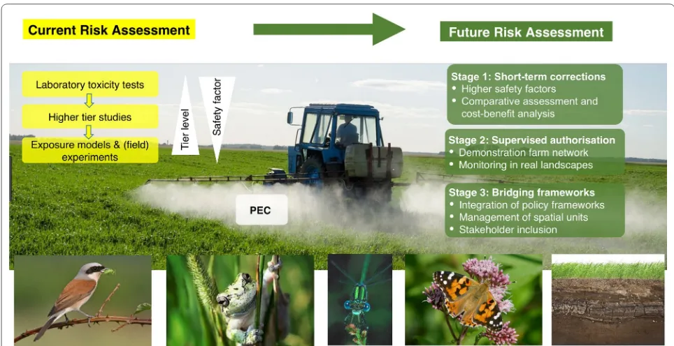 Fig. 1 Simplified scheme of current and suggested future pesticide risk assessment in the EU