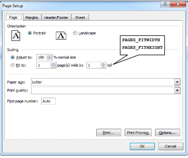Figure 5.  Excel Page Setup Dialog Box Showing Page Options 