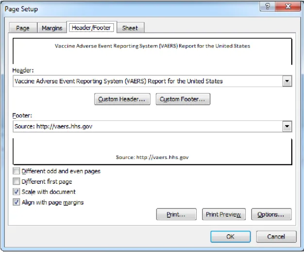 Figure 3.  Excel Page Setup Dialog Box Showing Title and Footnote Text in Headers 