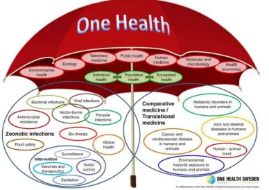 Figure 1. The ‘One Health’ concept. Taken from the evolution of One Health: a decade of progress and challenges for the future (p
