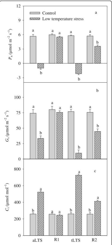 Fig. 1 Changes in net photosynthetic rate (Pn), stomatal conductance(Gs), and intercellular CO2 concentration (Ci) in the seedling leaves of K.obovata under aLTS [5°C/−2°C (day/night) for 36 h], R1 [15°C/10°C (day/night) for 5 days of recovery after aLTS],