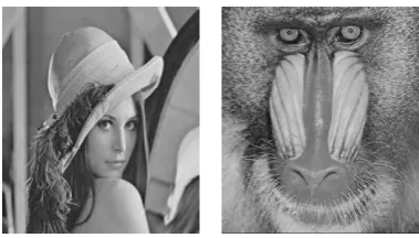 Fig. 6 Images (Lena, & Mandrill)  