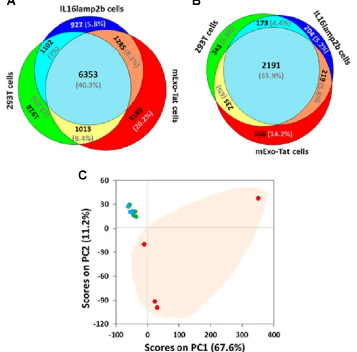 Figure 2: Comparative proteomic profiling of the peptides/proteins identified from 293T, IL16lamp2b and mExo-Tat  samples