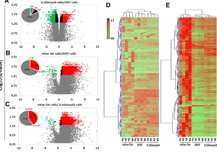 Figure 3: Quantitative analysis of the proteomics dataset obtained from 293T, IL16lamp2b and mExo-Tat samples