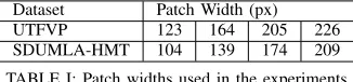 Fig. 2: 31-pixel patch samples from UTFVP