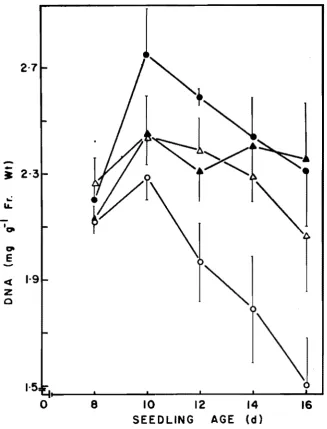 Fig. 1. Effect of inorganic nitrogen supply on RNA content of tbe primarY leaves during seedling growtb