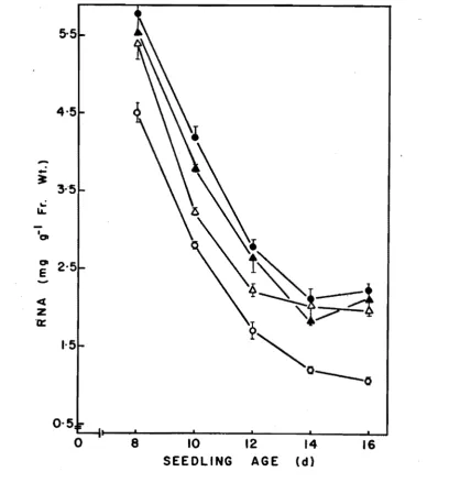 Fig. 2. Effect of i norganlc nitrogen supply on DNA content of the primary leaves during seedling growth