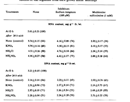 Table I:  Effect of inhibitors and inorganic nitrogen supply on nucleic acid content of leaf segments from dark grown maize seedlings 