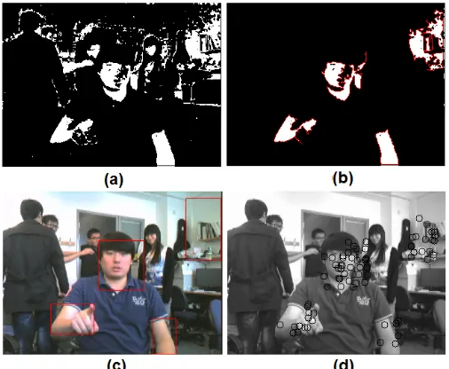 Figure 1: Processing of the first frame, (a): skin color binary image; (b) : result of denoising; (c) : initial ROIs; (d): SURF key points within initial ROIs