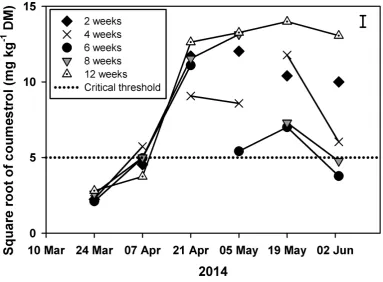 Figure 5.2 Square root transformed coumestrol content of lucerne under cutting intervals of 2 (◆), 4 (×), 6 (●), 8 (▼) and 12 weeks (◬) from 24 March to 2 June 2014