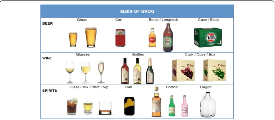 Figure 2 Pictorial aid for ‘size’ of alcoholic beverages consumed.