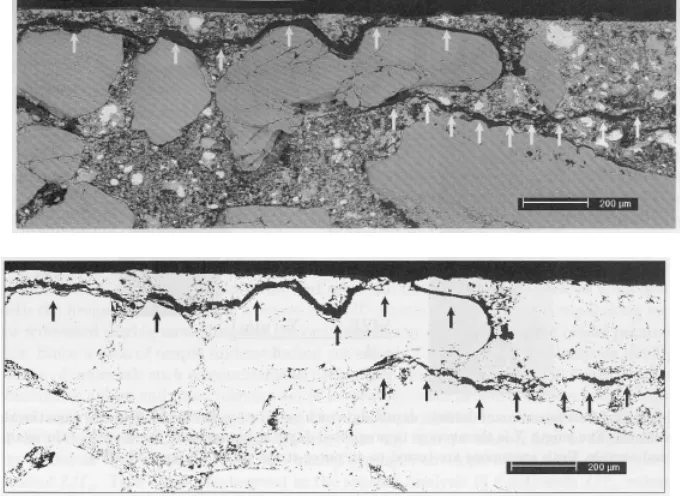 Figure 2.14. Micrographs revealing micro-cracking along the aggregate boundaries of a concrete specimen: (Top) Actual cross section of concrete specimen showing crack patterns emphasized by arrows; (Bottom) Clearly visible cracks after image processing (fr