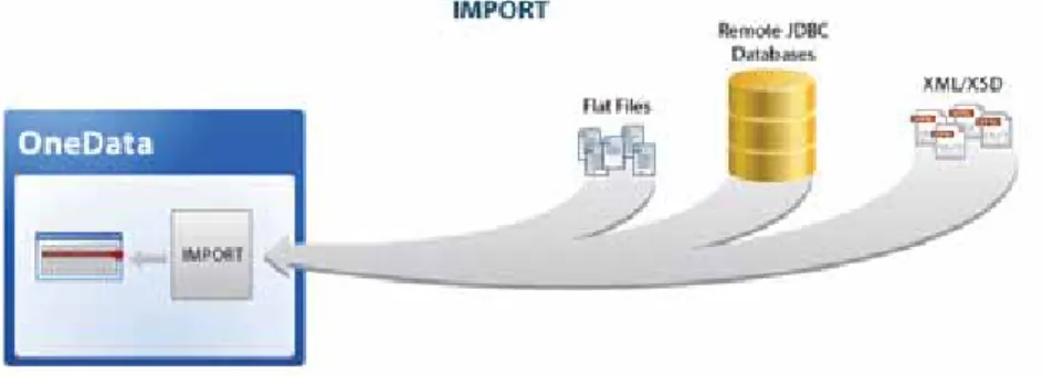 Figure 10: OneData’s Import Capability
