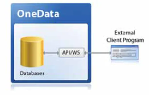 Figure 13: API/REStful Web services