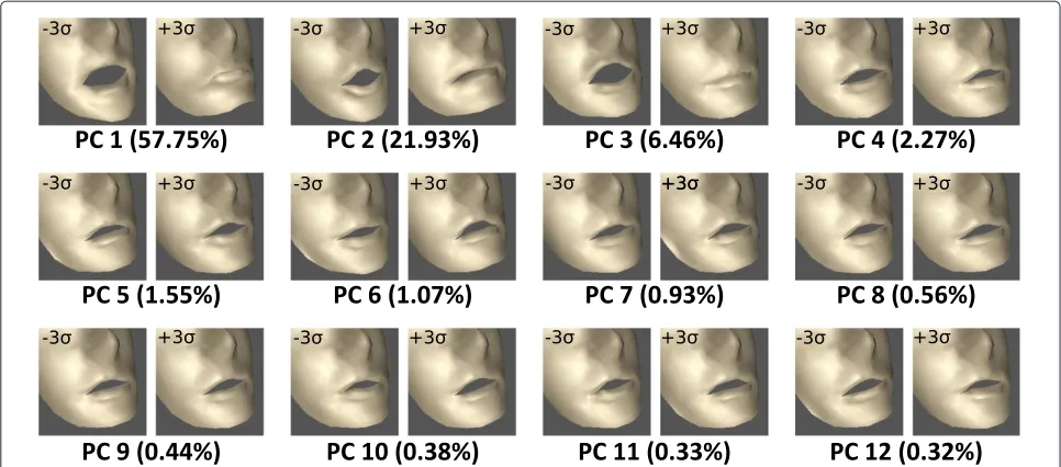 Figure 4 The 12 first principal components of the facial data and their percentage of variance