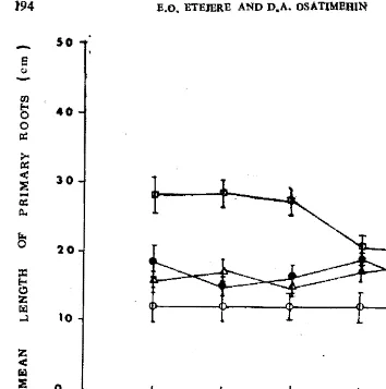 Fig. 2. Effect of various sources of nitrate on primary root length of A. digitata. Root length was measured 8 weeks after nitrate application