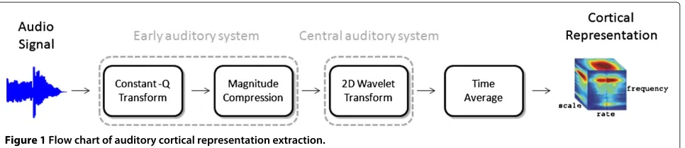 Figure 1 Flow chart of auditory cortical representation extraction.