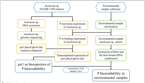 Fig. 1 Technology roadmap