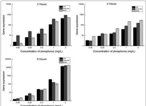 Fig. 4 Standard curve based on the mRNA expression of pst1-2 h in different concentrations of phosphorus  (K2HPO4)