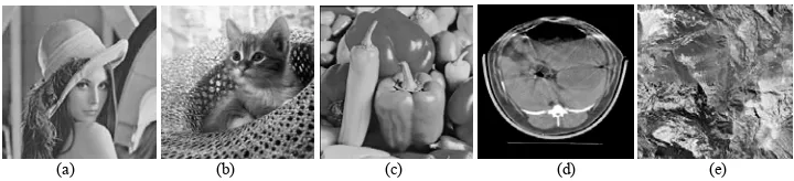 Figure. 3.  Greyscale test images of 8bits/pixel of size 256x256: (a) Lenna, (b) cat, (c) Peppers, (d) Retina and (e)                   Terrain 