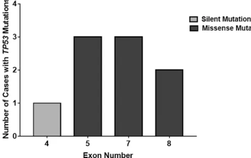 Figure 2: Location distribution of TP53 mutations in freshly collected patient samples