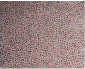 Figure 11: In this example, the circle detector is used to count fruitin order to estimate yield.