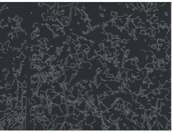 Figure 4: Edge pixels can be close together on the image plane andbelong to the same circle but may be far apart in the list of edge pixelsthat define the search space.