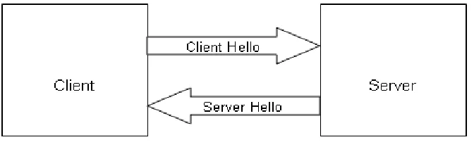 Fig 3 Client Server handshake 