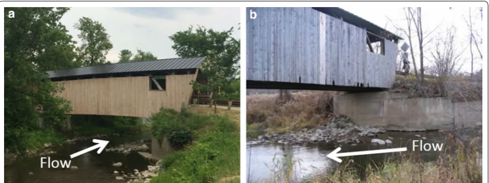 Fig. 3 The view of the bridge from upstream during a high-flow event (scour (a) and cracking and undermining of the abutment of the bridge due to b)