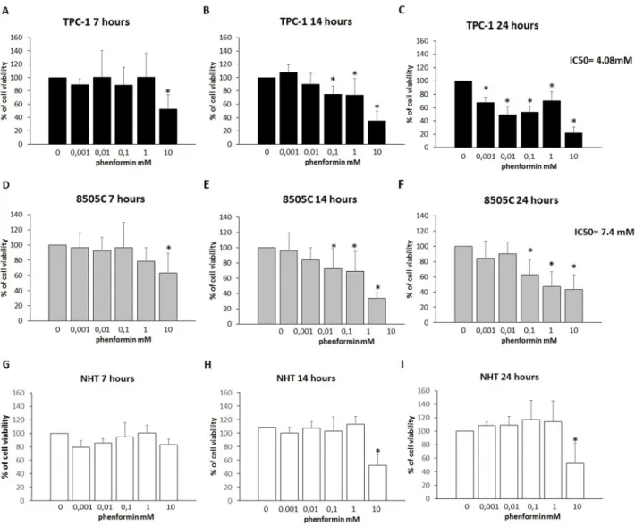 Figure 1: Cell viability of TPC-1, 8505C and NHT after treatment with Phenformin at increasing concentrations at  different time points