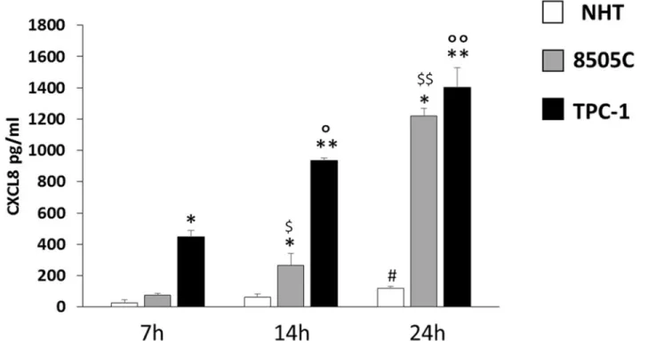 Figure 3: CXCL8 increase in NHT 8505C and TPC-1 throughout the time course.  NHT (ANOVA F=4.5 p<0.05; Post Hoc  24h p<0.05 vs