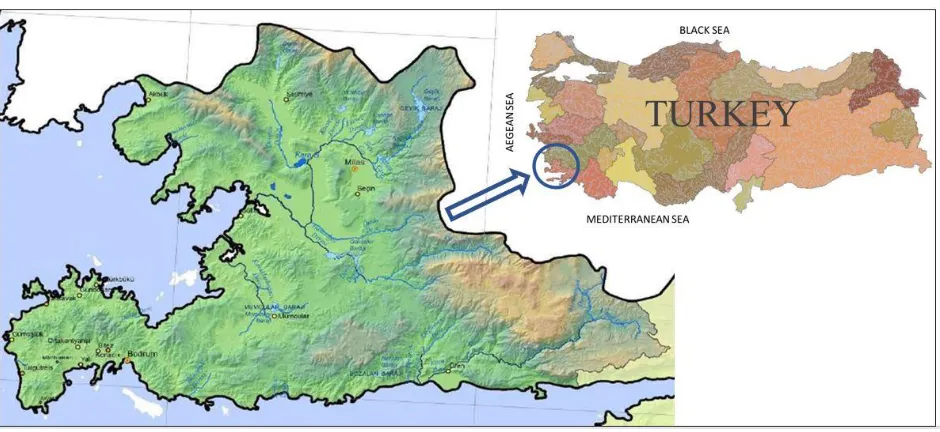 Figure 1.1 - Geographical position of the Milas-Bodrum sub-basin (TUBITAK, 2013). 